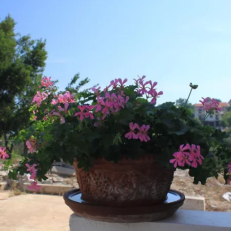 With Parking Space Sali, Dugi Otok - 8084 * Sali