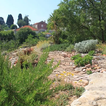 With Parking Space Sali, Dugi Otok - 8084 * Sali