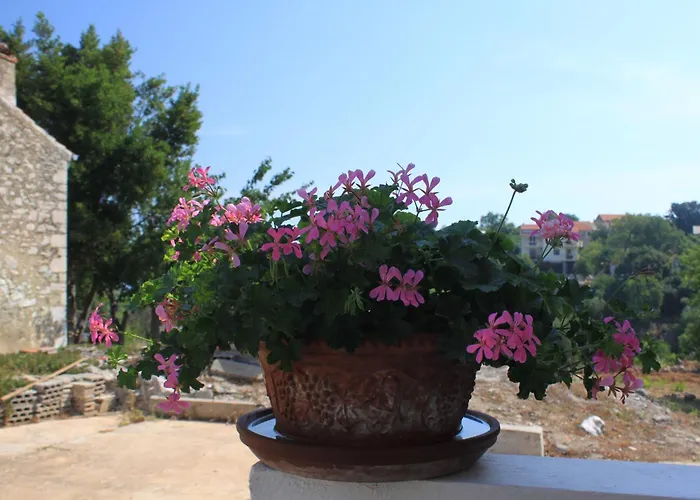 With Parking Space Sali, Dugi Otok - 8084 * Sali